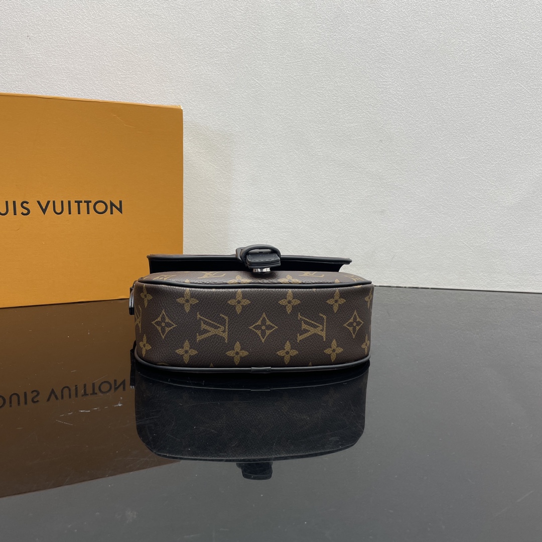 Louis Vuitton Satchel Bags